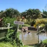 Sabeto-Hot-Spring-and-Mud-Pool-a37