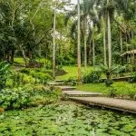 Sabeto-Hot-Spring-and-Mud-Pool-a62