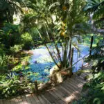 Garden-of-the-Sleeping-Giant-Nadi