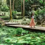 Sabeto-Hot-Spring-and-Mud-Pool-a59