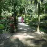 garden-of-the-sleeping-4