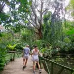 20250824_114752_1067x800