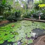 20250824_114809_1067x800